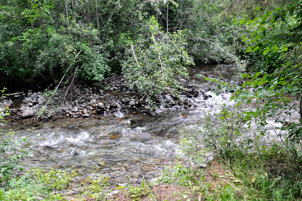 Driftwood Creek