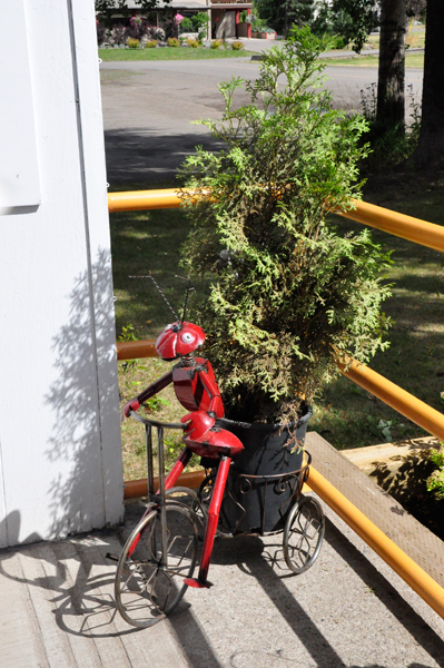 red ant riding a bicycle