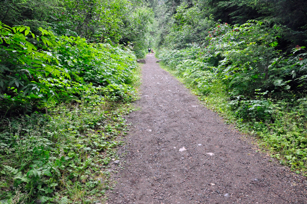 The hiking trail