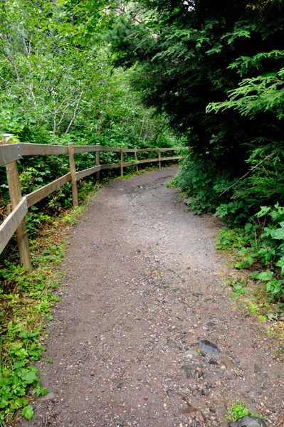 steep trail