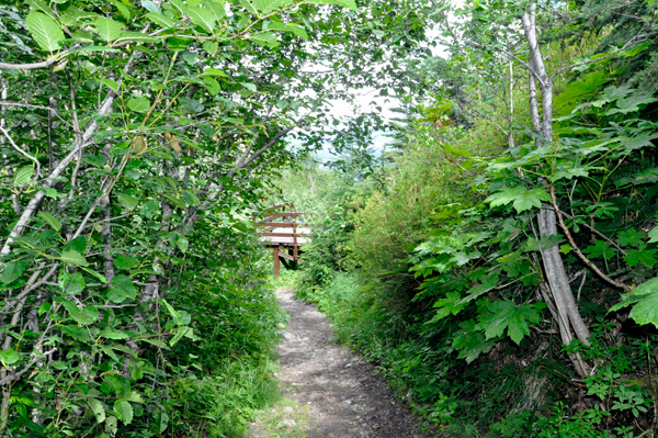 viewing platform