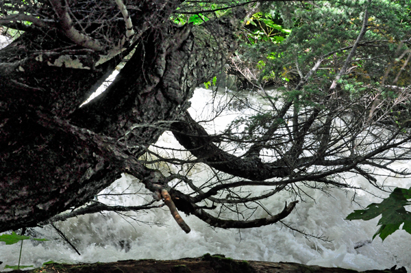 the tumbling creek created by the runoff water from the waterfalls