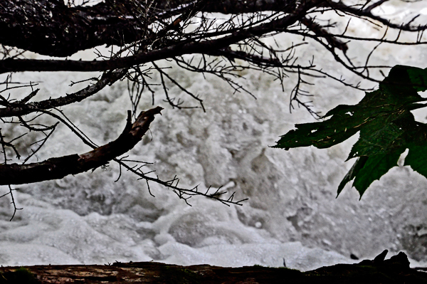 the tumbling creek created by the runoff water from the waterfalls