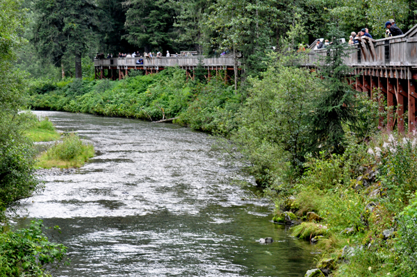 bridge as seen from the road