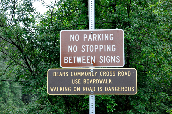 bear warning sign