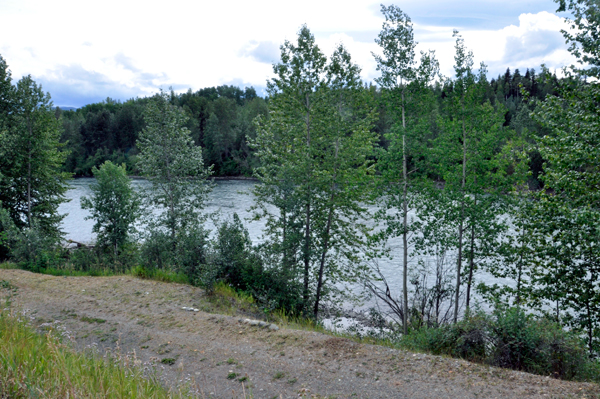 Bulkley River