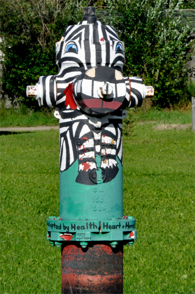 painted fire hydrant