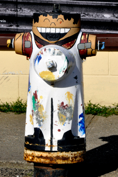 painted fire hydrant