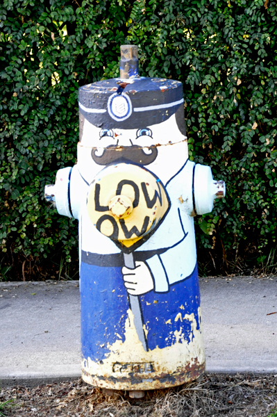 painted fire hydrant