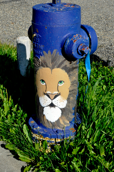 painted fire hydrant