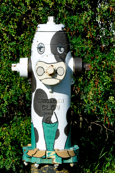 painted fire hydrant