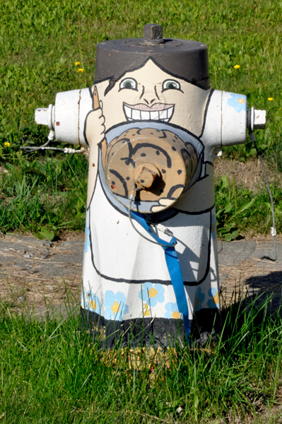 painted fire hydrant