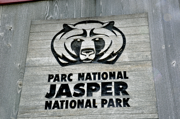 bear carving on a park sign