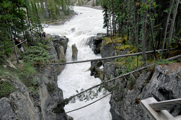 Sunwapta Falls - 2015