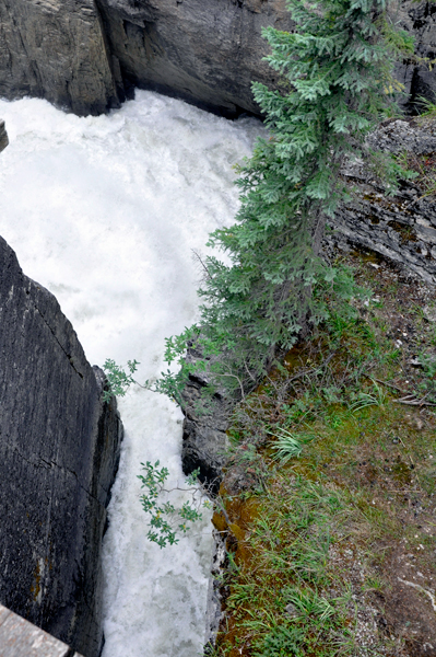 Sunwapta Falls