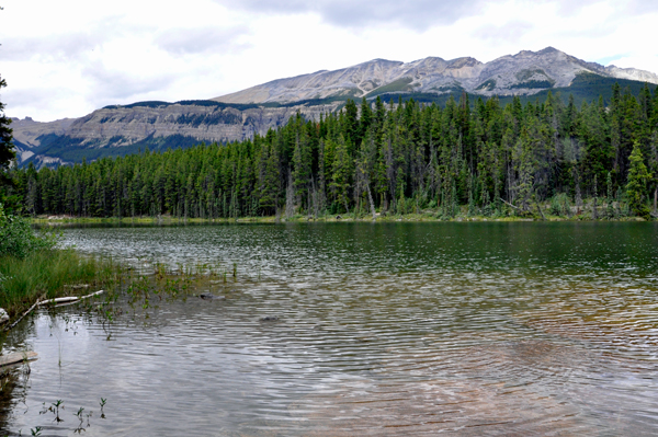 Honeymoon Lake in 2015