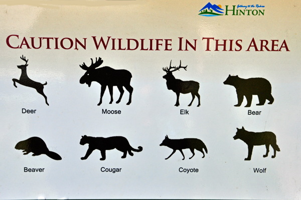 wildlife sign in the Visitor Center