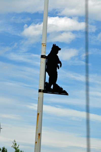 bear design on a lightpole