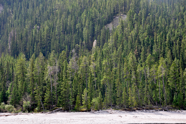 hoodoos