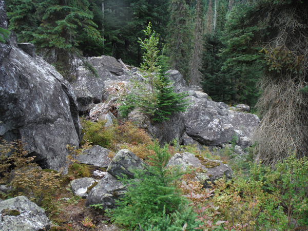 Big boulders on the Rock Garden trail