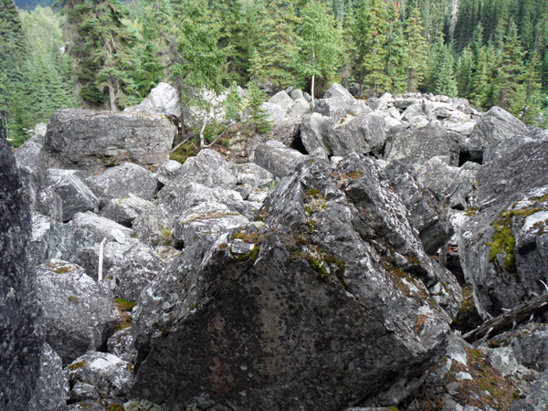 Big boulders on the Rock Garden trail