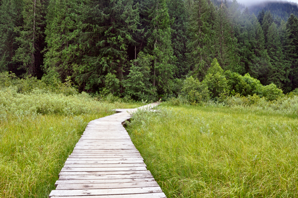 the boardwalk