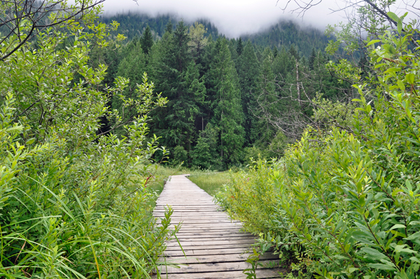 boardwalk