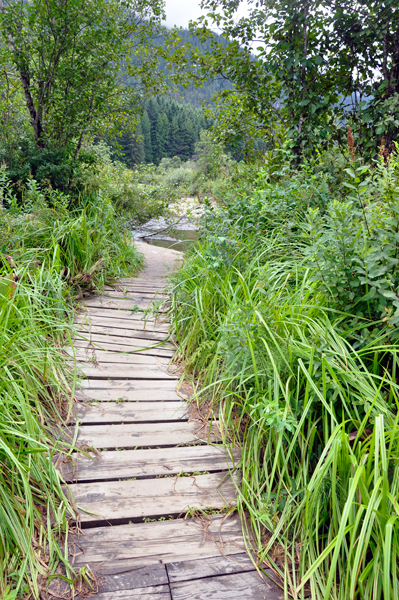 boardwalk