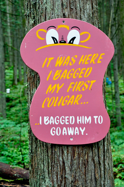 A silly sign on a tree