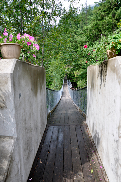 Crazy Creek suspension bridge