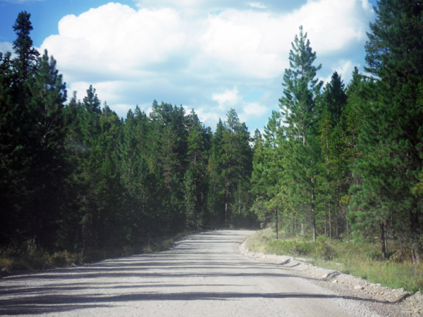 the road to Lussier Hot Springs