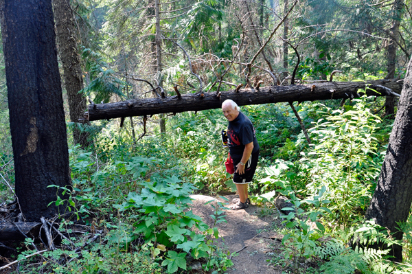 Lee Duquette ducking under a tree limb