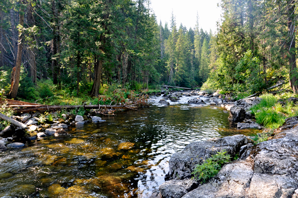 warm springs river