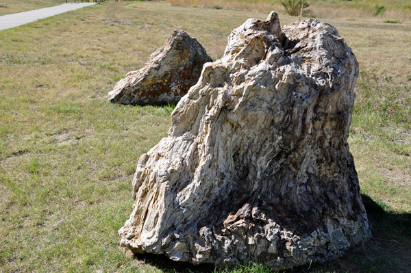 petrified tree stub