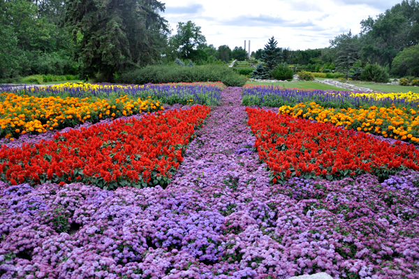 Different views of Garden in 2015