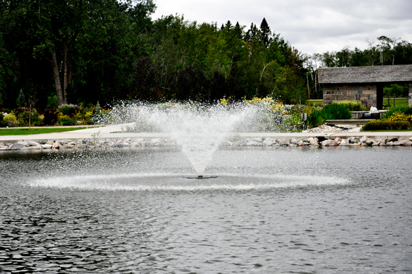 pond and water fountain