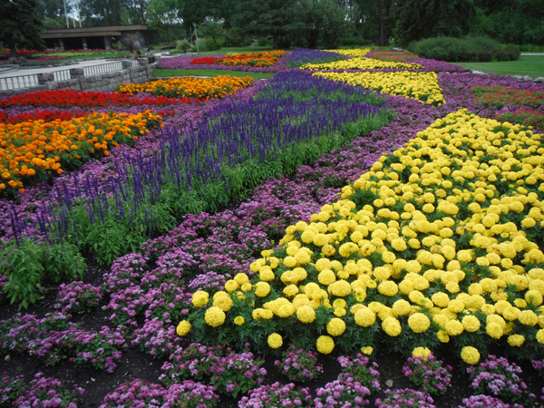 Different views of Garden in 2015 