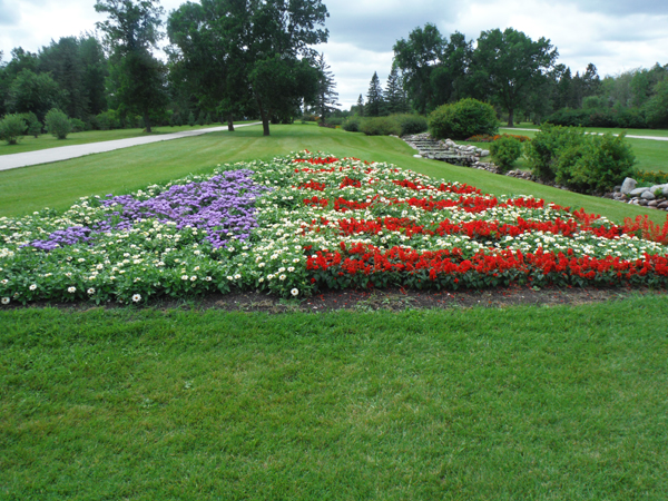 USA floral flag