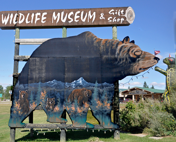 Wildlife Museum and bear