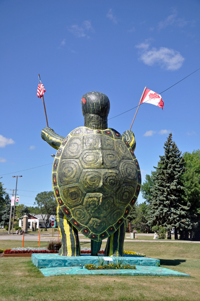 back side of Tommy the Turtle in 2015