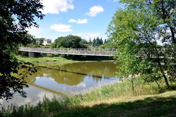 bridge and river