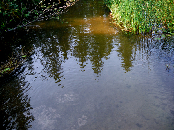 the Mississippi River