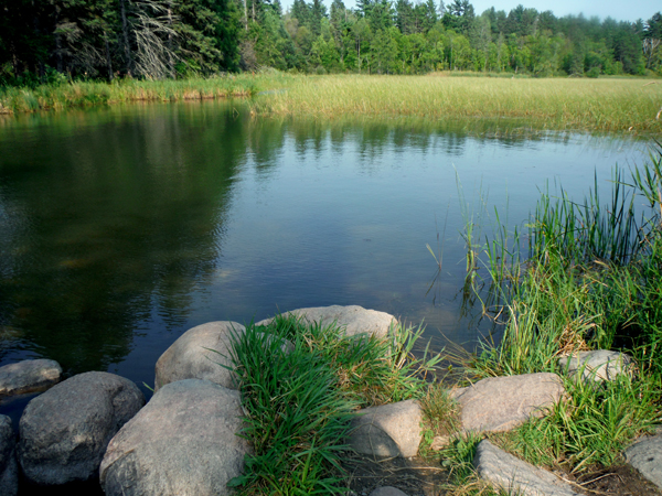 Back to where the river begins