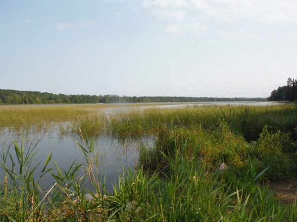 The view beyond the lake
