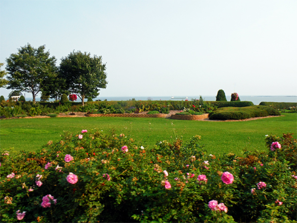 The Rose Garden