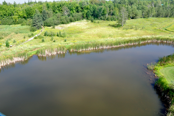 clear weather and the pond