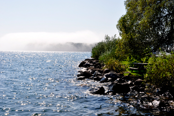 fog rolling in