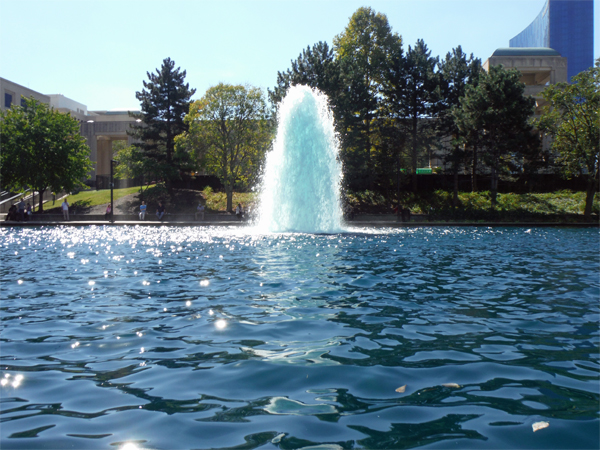 The water was tinted blue.The water was tinted blue.