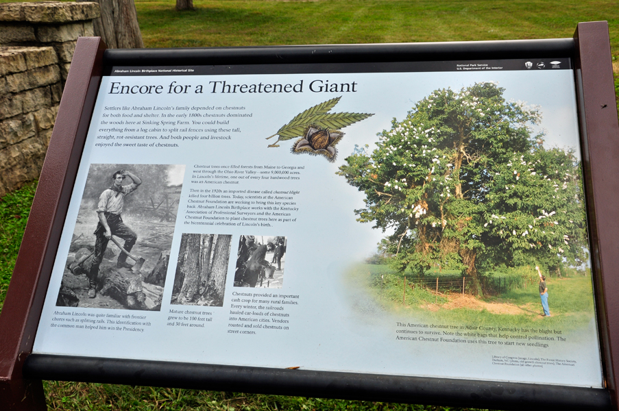 sign about chestnut trees