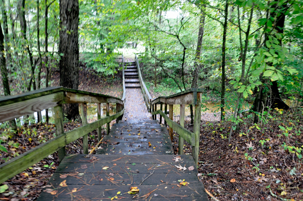 bridge over The Blue Hole  Spring